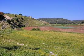 Galilee landscape